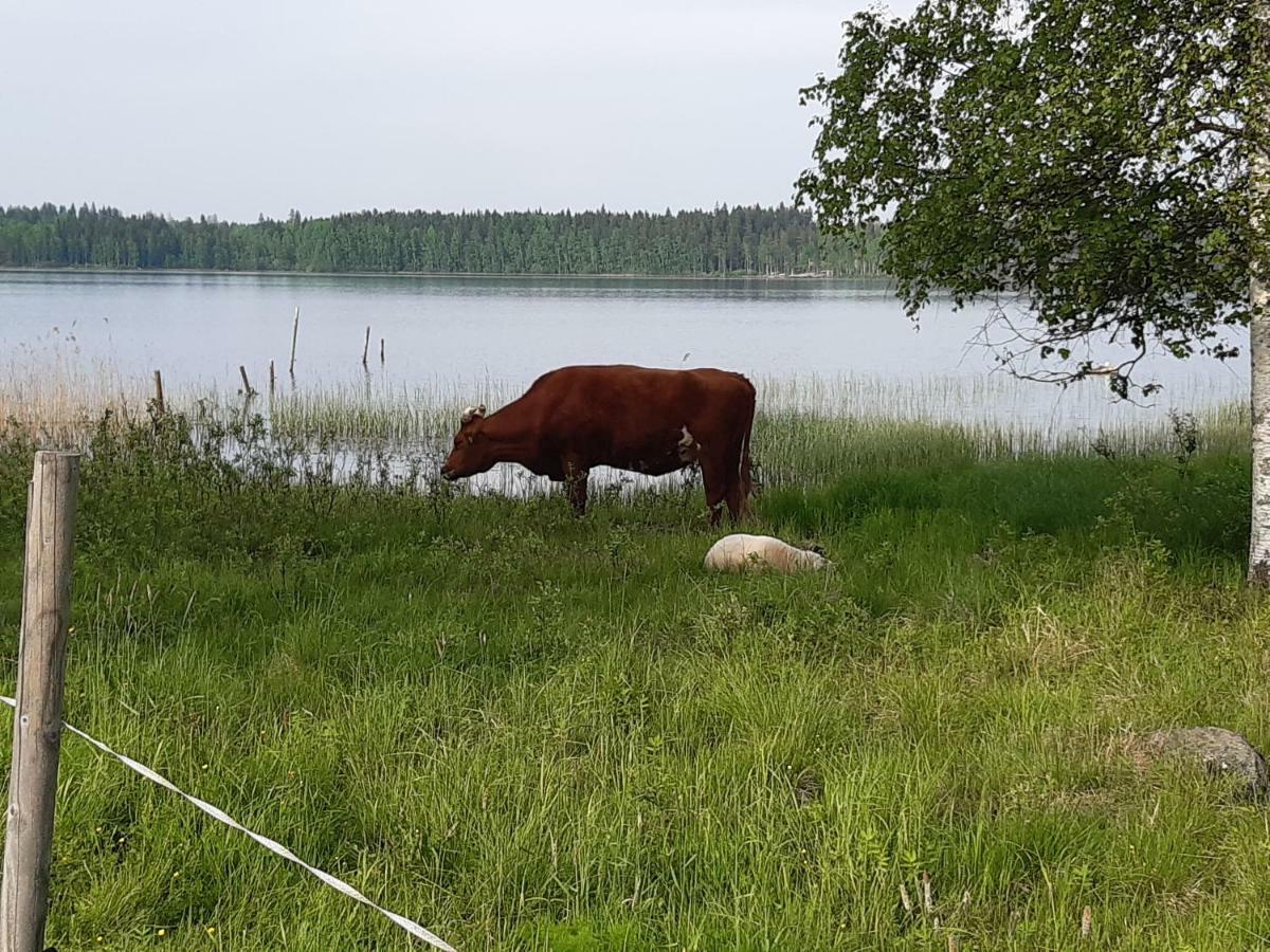 Hyvoelaen Moekit Villa Ahtari Bagian luar foto